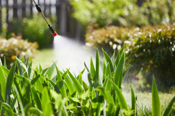 24/7 Emergency Termite Control experts in Eleele, HI