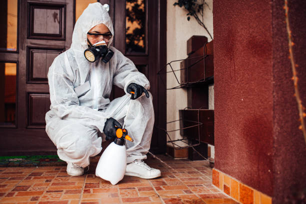 Reliable Termite Control contractor in Eleele, HI by Nex Pest Control
